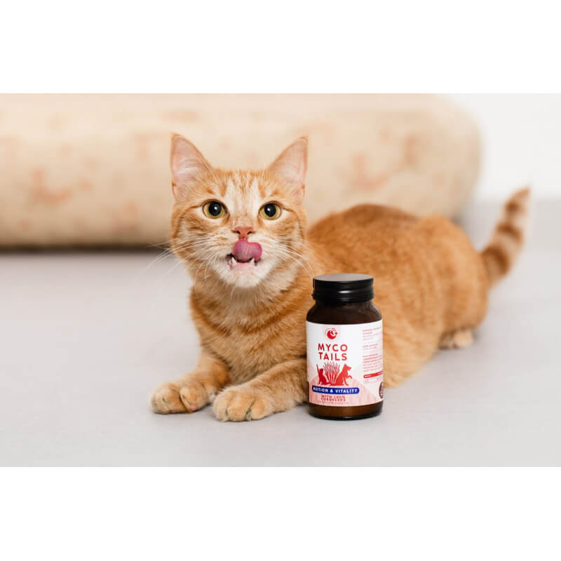 Myco Tails Motion&Vitality prehranski dodatek za pse in mačke - 80 g (3)