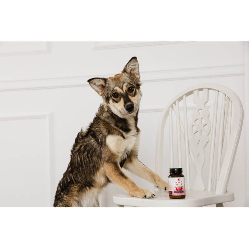 Myco Tails Motion&Vitality prehranski dodatek za pse in mačke - 80 g (4)