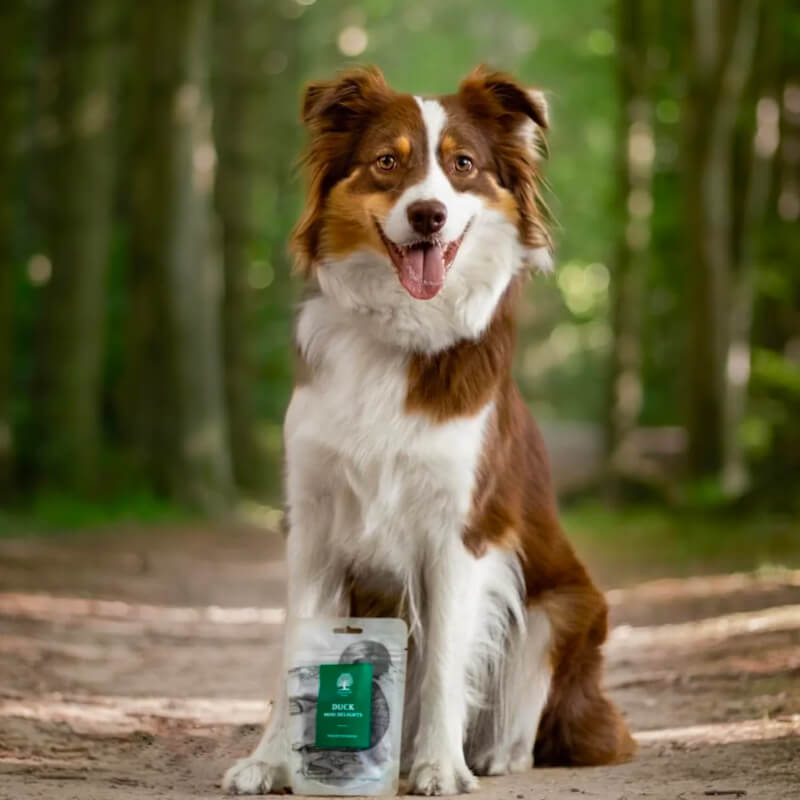 Essential Foods Duck Mini Delights pasji priboljški, raca - 100 g