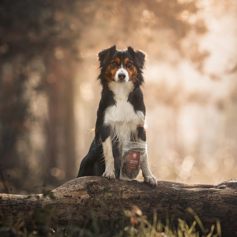 Essential Foods Salmon Mini Delights pasji priboljški, losos - 100 g