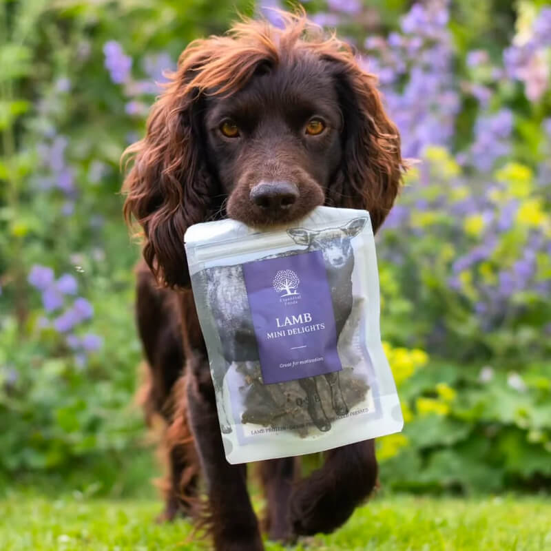 Essential Foods Lamb Mini Delights pasji priboljški, jagnjetina - 100 g