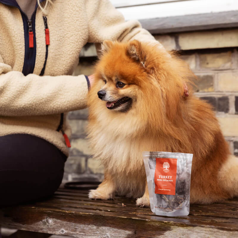 Essential Foods Turkey Mini Delights pasji priboljški, puran - 100 g