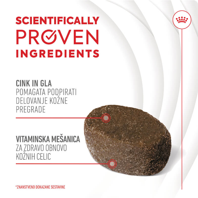 Royal Canin funkcionalni žvečljivi priboljški Skin&Coat Adult - 240 g
