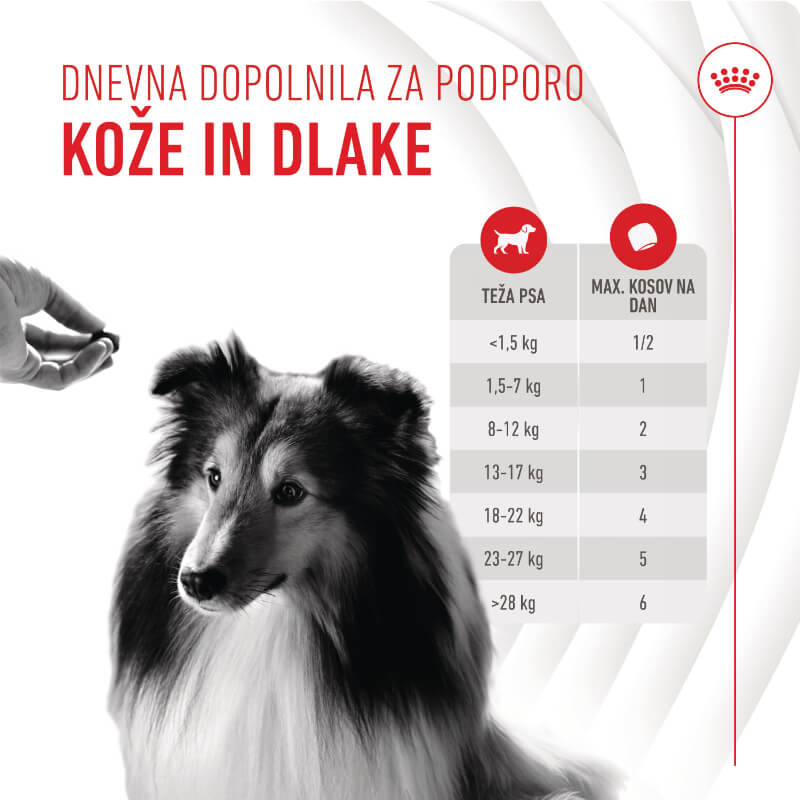 Royal Canin funkcionalni žvečljivi priboljški Skin&Coat Adult - 240 g