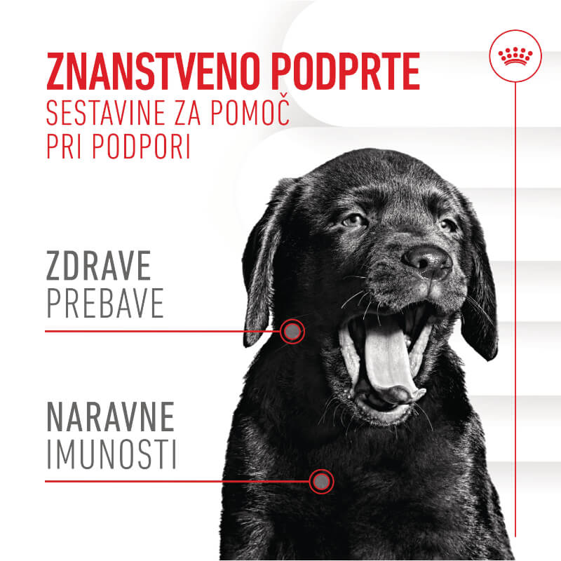 Royal Canin funkc. žvečljivi priboljški Immunity&Digestion Puppy - 100 g