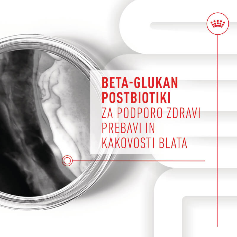 Royal Canin funkc. žvečljivi priboljški Immunity&Digestion Puppy - 100 g