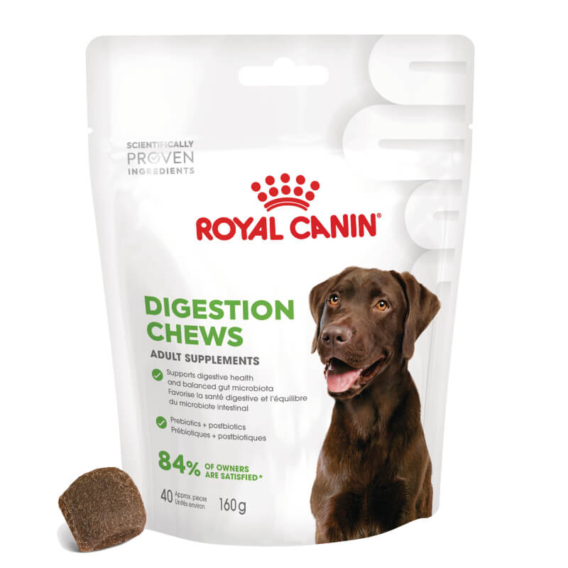 Royal Canin funkcionalni žvečljivi priboljški Digestion Adult - 160 g