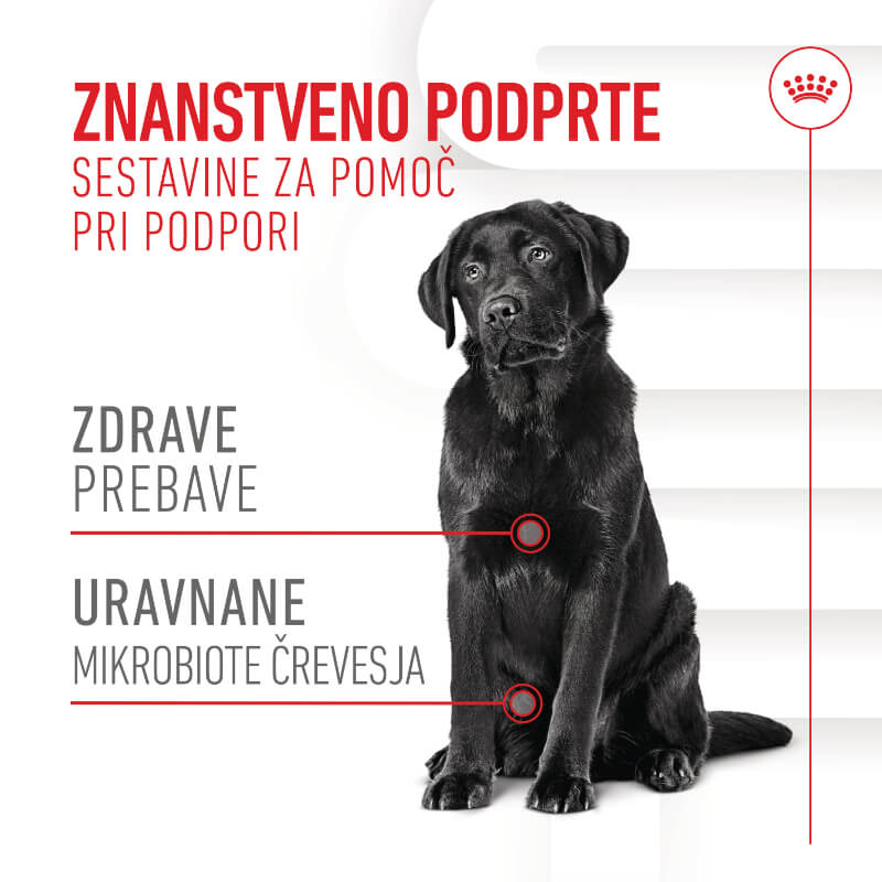 Royal Canin funkcionalni žvečljivi priboljški Digestion Adult - 160 g