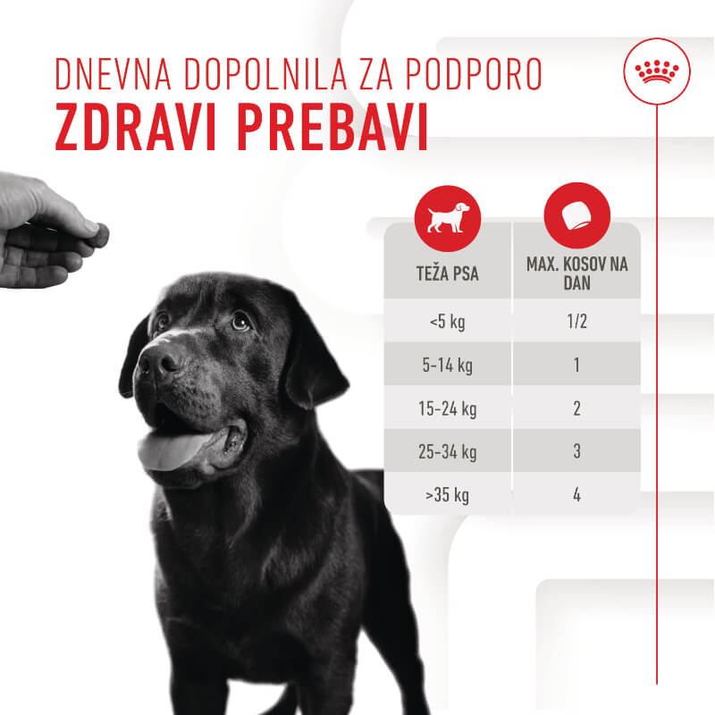 Royal Canin funkcionalni žvečljivi priboljški Digestion Adult - 160 g