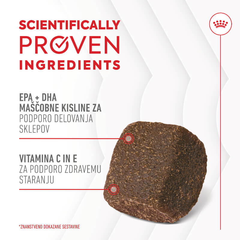 Royal Canin funkcionalni žvečljivi priboljški Joint&Ageing Adult - 240 g