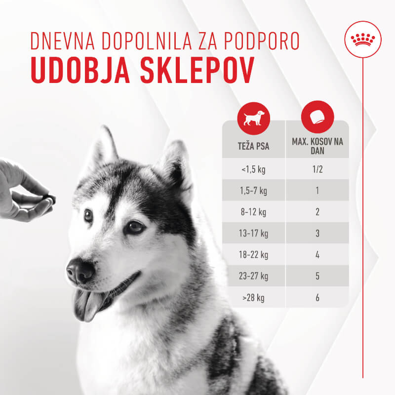 Royal Canin funkcionalni žvečljivi priboljški Joint&Ageing Adult - 240 g