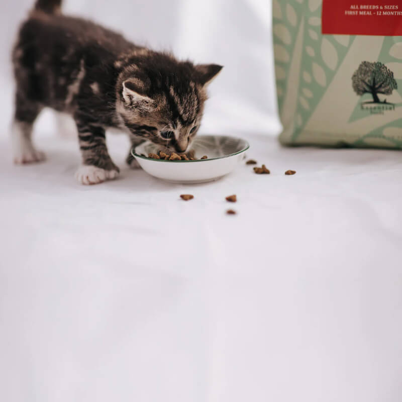 Essential Foods Cat The Little Lion Kitten - piščanec, raca in ribe