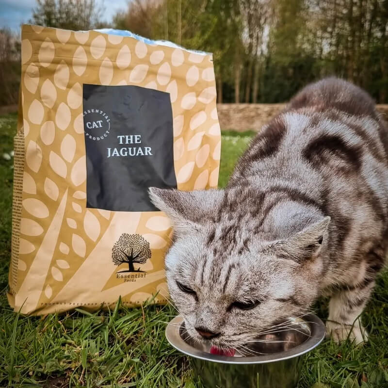 Essential Foods Cat The Jaguar Adult - piščanec, raca in ribe