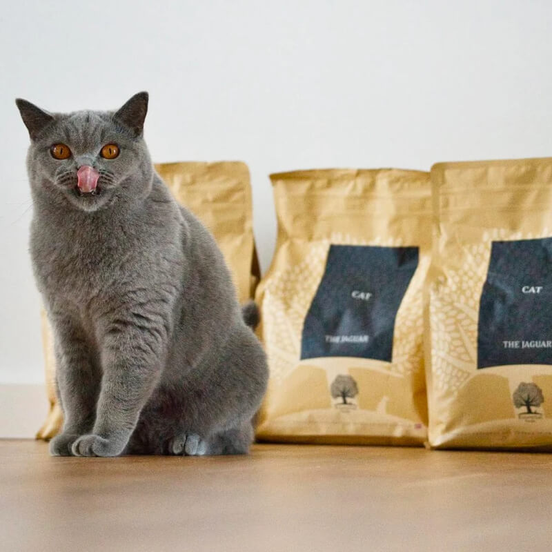 Essential Foods Cat The Jaguar Adult - piščanec, raca in ribe