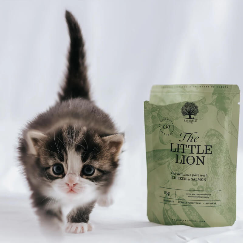 Essential Foods Cat The Little Lion Kitten Pâté, vrečka - piščanec in losos - 85 g