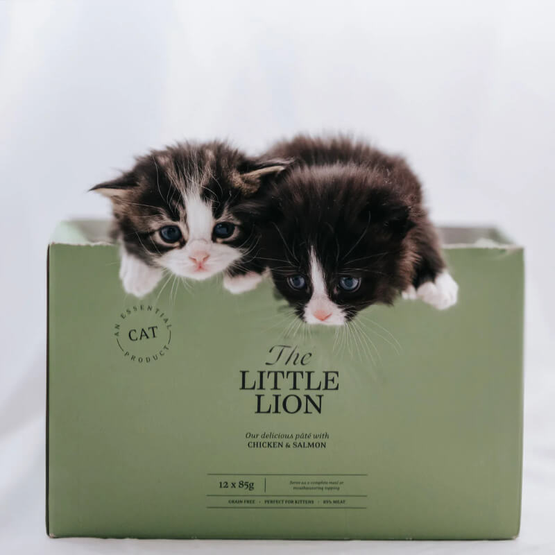 Essential Foods Cat The Little Lion Kitten Pâté, vrečka - piščanec in losos - 85 g