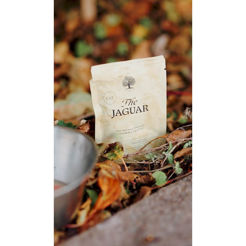 Essential Foods Cat The Jaguar Adult Pâté, vrečka - piščanec in losos - 85 g