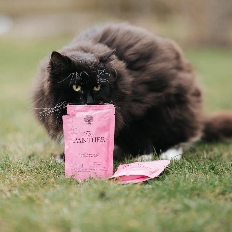 Essential Foods Cat The Panther Adult Pâté, vrečka - piščanec in puran - 85 g