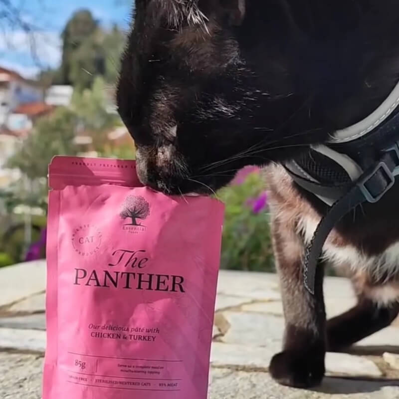 Essential Foods Cat The Panther Adult Pâté, vrečka - piščanec in puran - 85 g