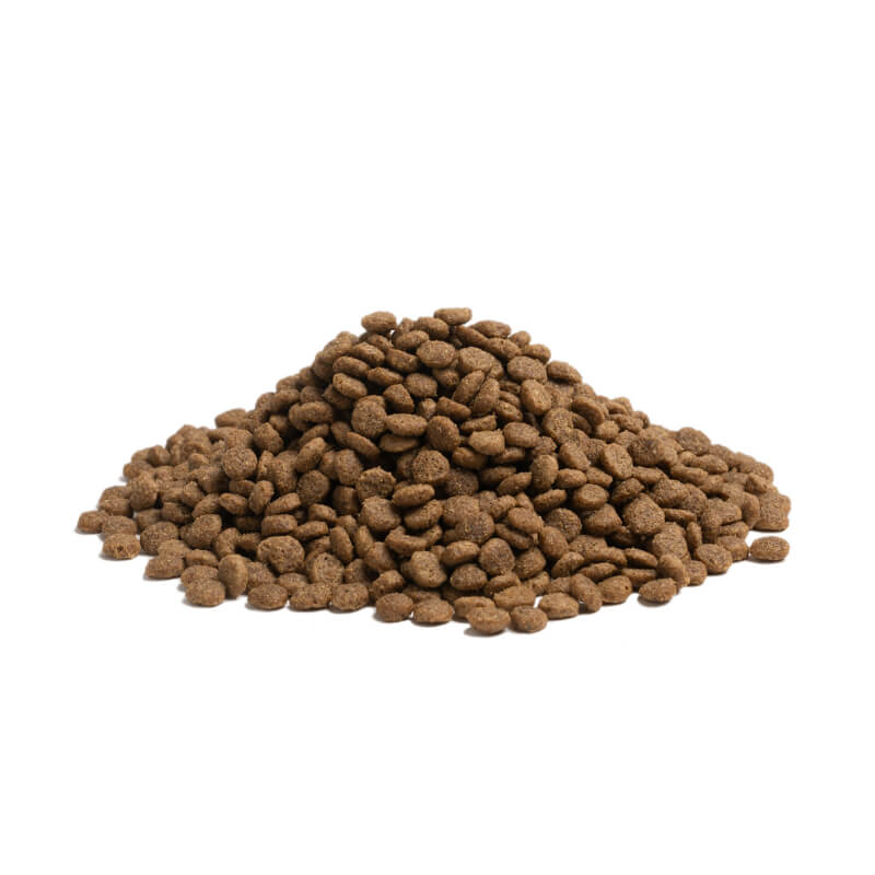 Essential Foods Dog Balance Adult, mono - puran - mini ali large