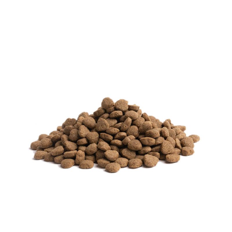 Essential Foods Dog Balance Adult, mono - puran - mini ali large