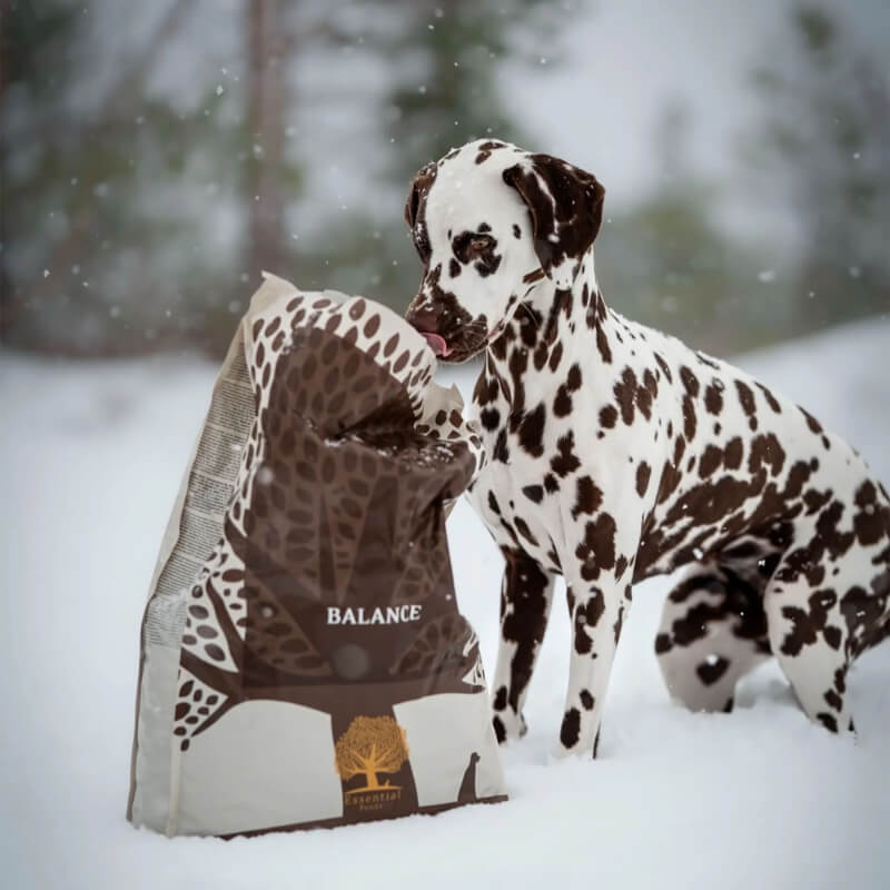 Essential Foods Dog Balance Adult, mono - puran - mini ali large