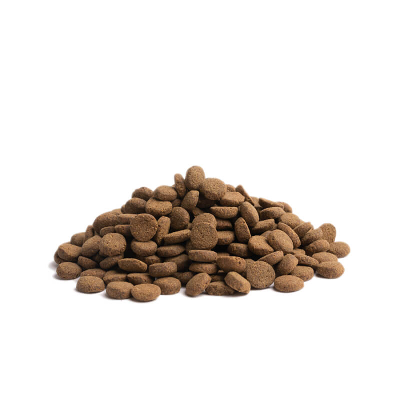 Essential Foods Dog Contour Adult - piščanec, raca, ribe in jajce - mini ali large