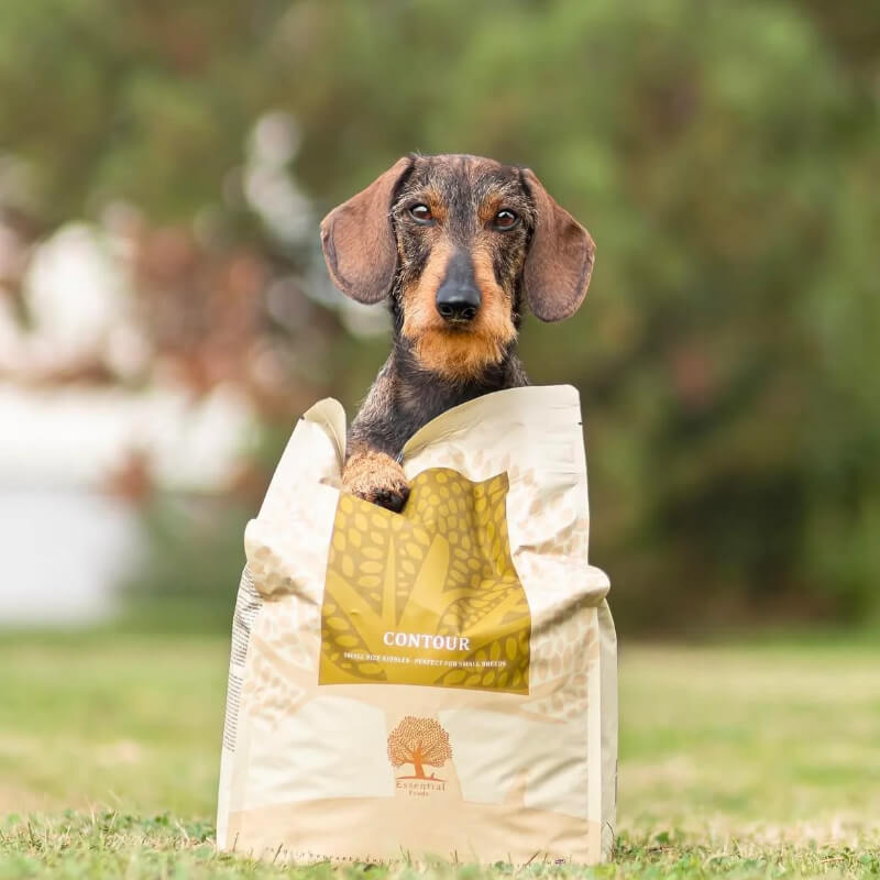 Essential Foods Dog Contour Adult - piščanec, raca, ribe in jajce - mini ali large