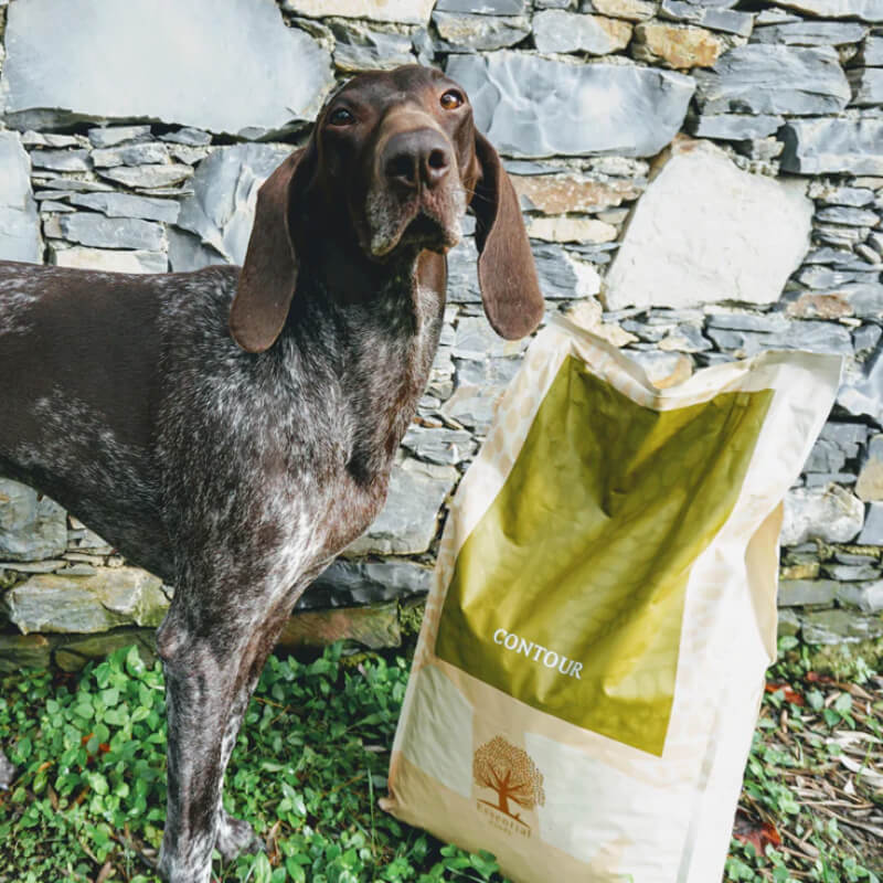 Essential Foods Dog Contour Adult - piščanec, raca, ribe in jajce - mini ali large