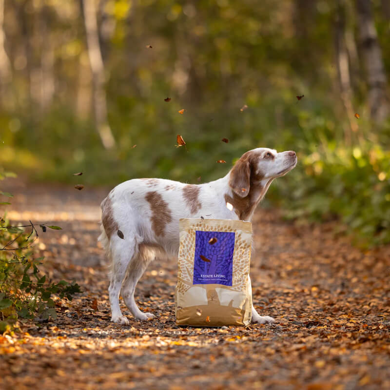 Essential Foods Dog Estate Adult - jagnjetina , divjačina in piščanec - mini ali large