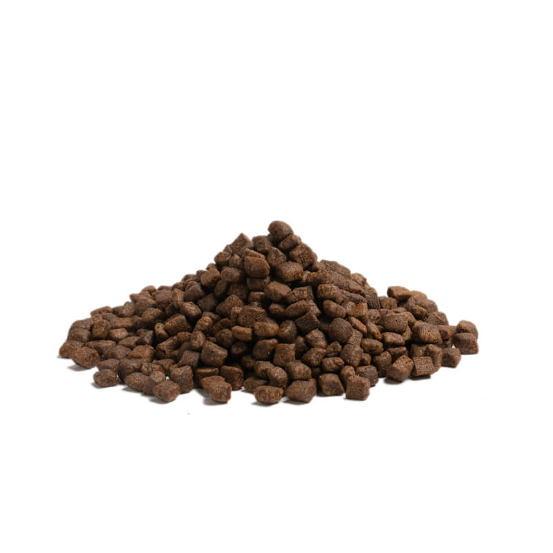 Essential Foods Dog Highland Adult - puran, losos in angus - mini ali large