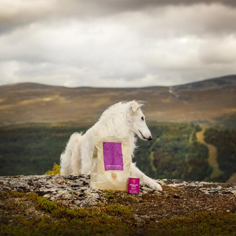 Essential Foods Dog Highland Adult - puran, losos in angus - mini ali large