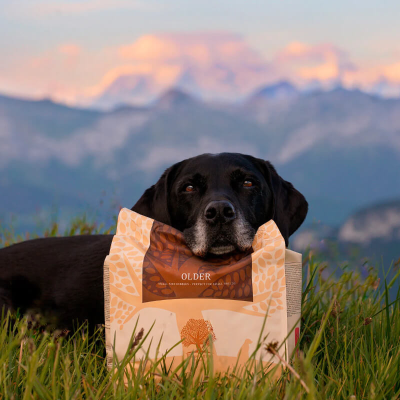 Essential Foods Dog Older Senior - piščanec, raca in ribe - mini ali large