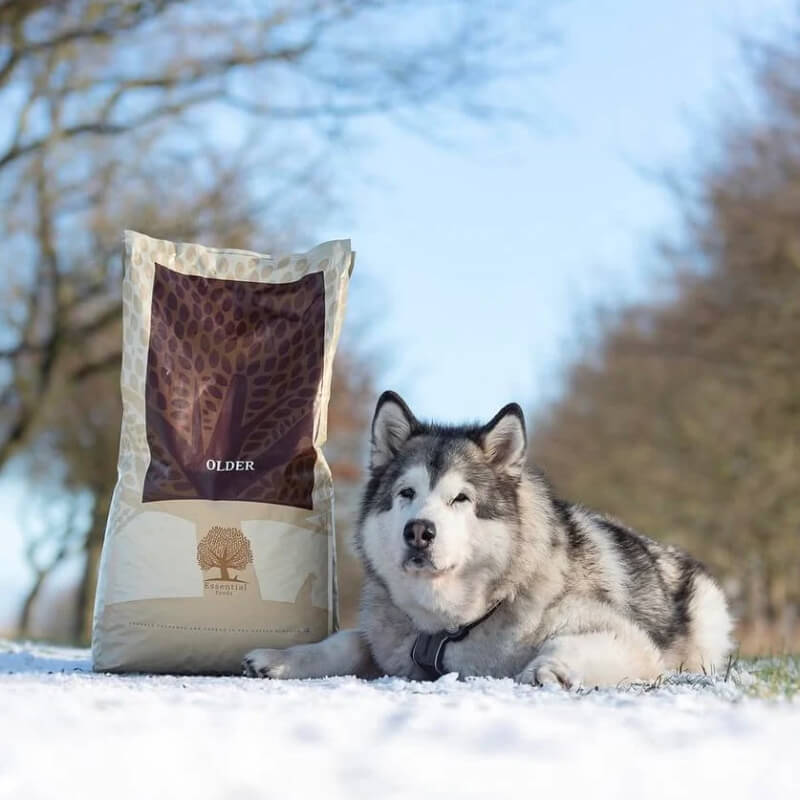 Essential Foods Dog Older Senior - piščanec, raca in ribe - mini ali large