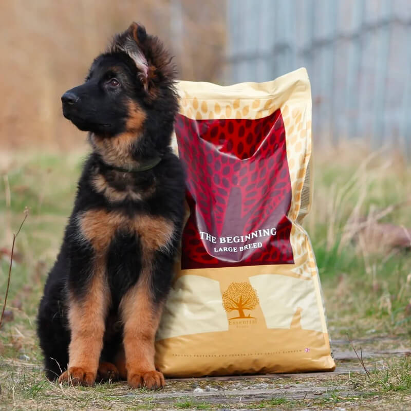 Essential Foods Dog Beginning Puppy&Junior Large - piščanec, raca in ribe