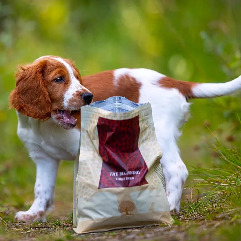 Essential Foods Dog Beginning Puppy&Junior Large - piščanec, raca in ribe