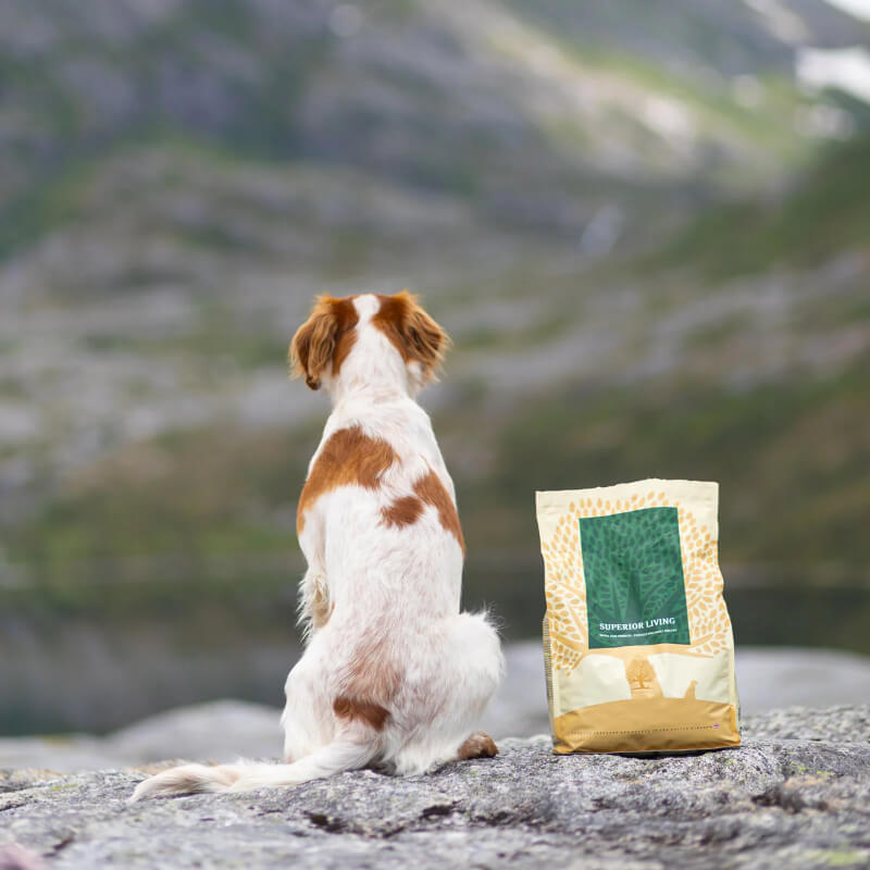 Essential Foods Dog Superior Adult - piščanec, raca in ribe - mini ali large