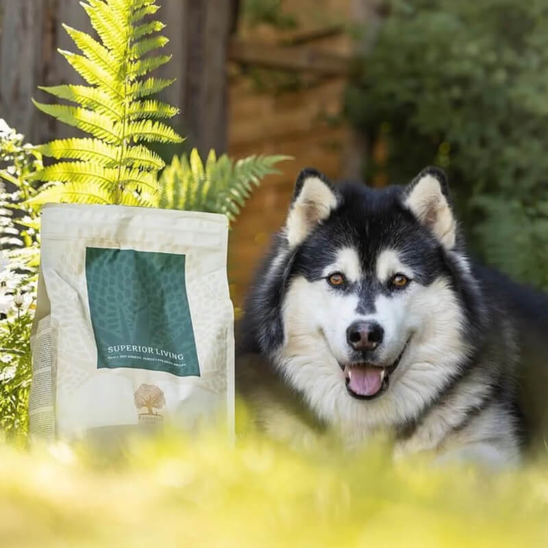 Essential Foods Dog Superior Adult - piščanec, raca in ribe - mini ali large