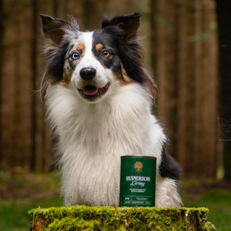 Essential Foods Dog Superior Adult Pâté, konzerva - raca in piščanec - 400 g
