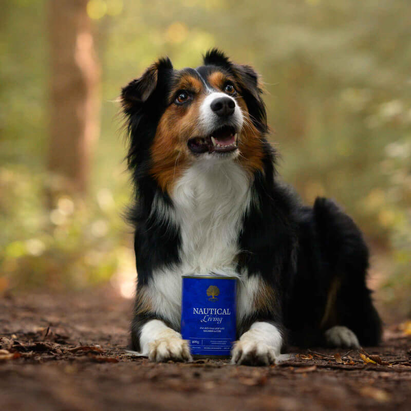 Essential Foods Dog Nautical Adult Pâté, konzerva - ribe - 400 g