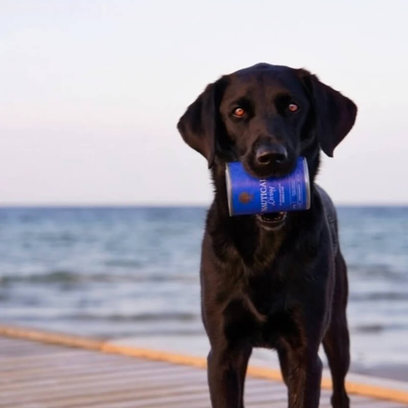 Essential Foods Dog Nautical Adult Pâté, konzerva - ribe - 400 g