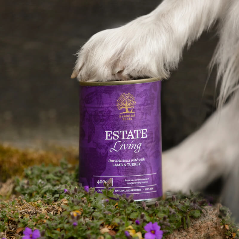 Essential Foods Dog Estate Adult Pâté, konzerva - jagnjetina in puran - 400 g