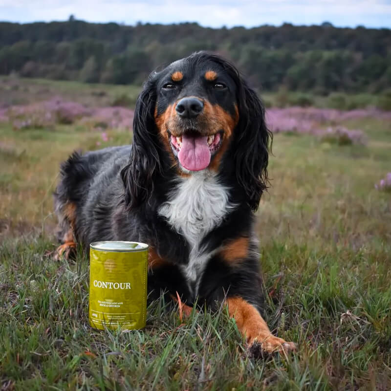Essential Foods Dog Contour Adult Pâté, konzerva - raca in piščanec - 400 g