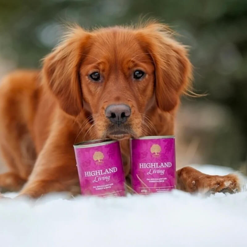 Essential Foods Dog Highland Adult Pâté, konzerva - puran in raca - 400 g