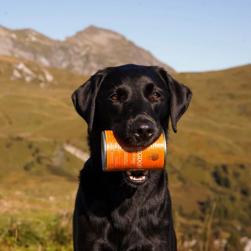 Essential Foods Dog Kingdom Adult Pâté, konzerva - div. prašič in svinjina - 400 g