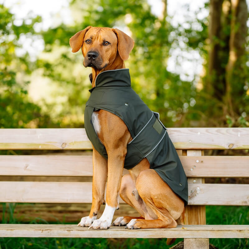 Nobby plašč Sela, temno zelen