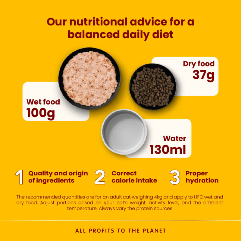 Almo Nature HFC Highly Appetizing file v juhi, vrečka - skuša - 50 g