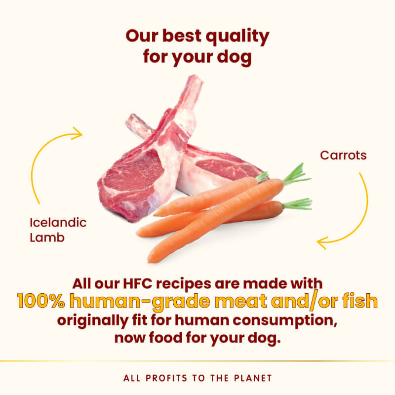 Almo Nature HFC Complete pašteta, alu posodica - jagnjetina in korenje - 85 g