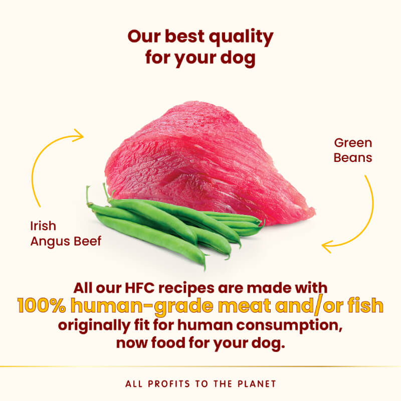 Almo Nature HFC Complete pašteta, alu posodica - govedina in st. fižol - 85 g