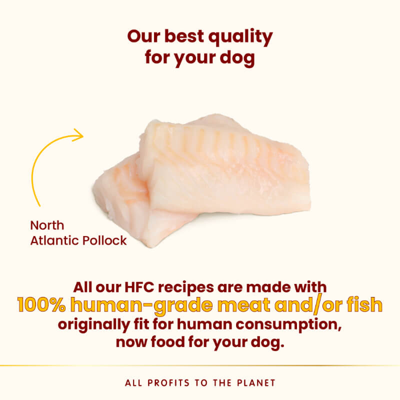 Almo Nature HFC Complete pašteta, alu posodica - aljaški polak - 85 g